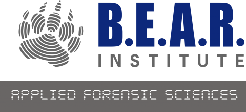 BEAR Institute
